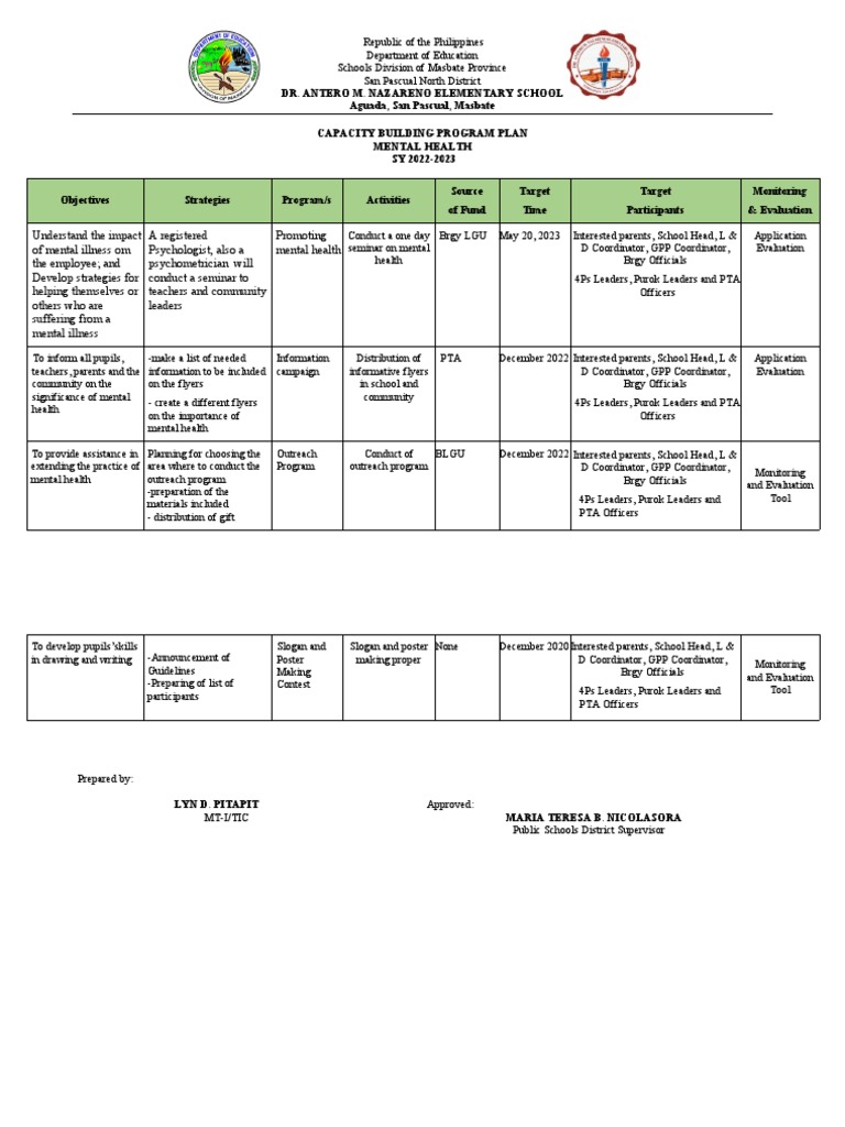 Capacity Building Program Plan | PDF | Psychology | Health Care