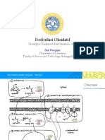 05 - Fosforilasi Oksidatif