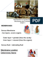 HBSF Unit 1 Slides (Set 2)