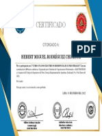 Certificado: Hebert Miguel Rodríguez Chiclote