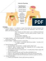 Endocrine Physiology2021