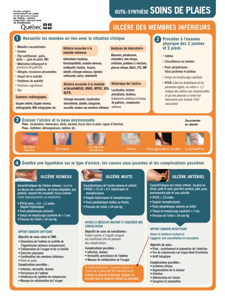 Microprogramme En Soins De Plaies Ryvm 