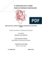 Analisis de Una Problematica-Metodología de Peter Checkland