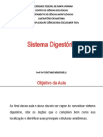 Sistema DigestÃ Rio - 13.07.2022