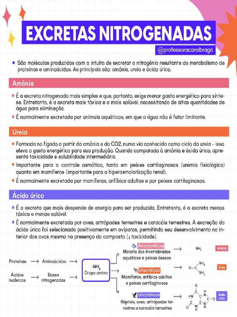 #151 - Excretas Nitrogenadas | PDF