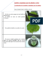 Chlorophyll Constitution