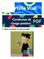 Cartilla Vial - Canvas
