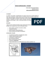 Sistema Cardiovascular o Corac3a7c3a3o2