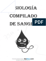 Compilado de Sangre - U.A. 2