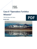 Caso6 - Operadora Turistica Miawun - Proyecto 05-08-2023