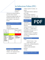 Peritonite Infecciosa Felina