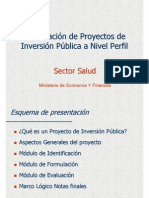 Formulación de Proyectos de Inversión Pública A Nivel de Perfil - Salud