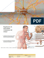 Fisiología Sistema Nervioso Autónomo