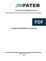 Resenha Critica Ensino Fundamental