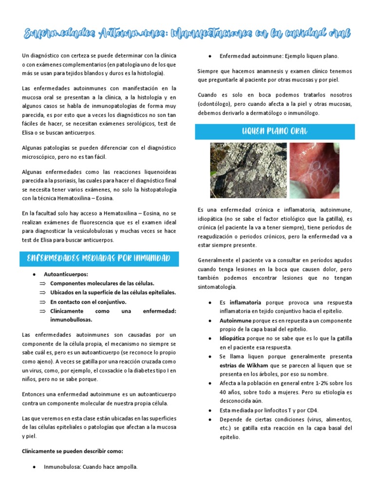 Clase 11, Enfermedades Autoinmunes CORREGIDO | PDF | Sistema inmune ...