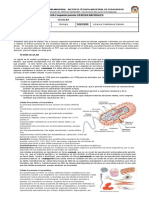 Guía 2 Periodo II 2021 - Ciencias Naturales 6.5 - Célula Vegetal y Animal