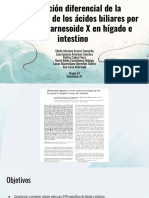 Regulación Diferencial de La Homeostasis de Los Ácidos Biliares Por Repecetor Fernoside X en Hígado e Intestino