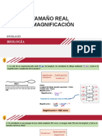 Tamaño Real y Magnificación