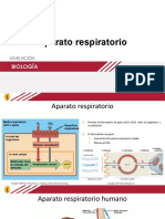 Aparato Respiratorio