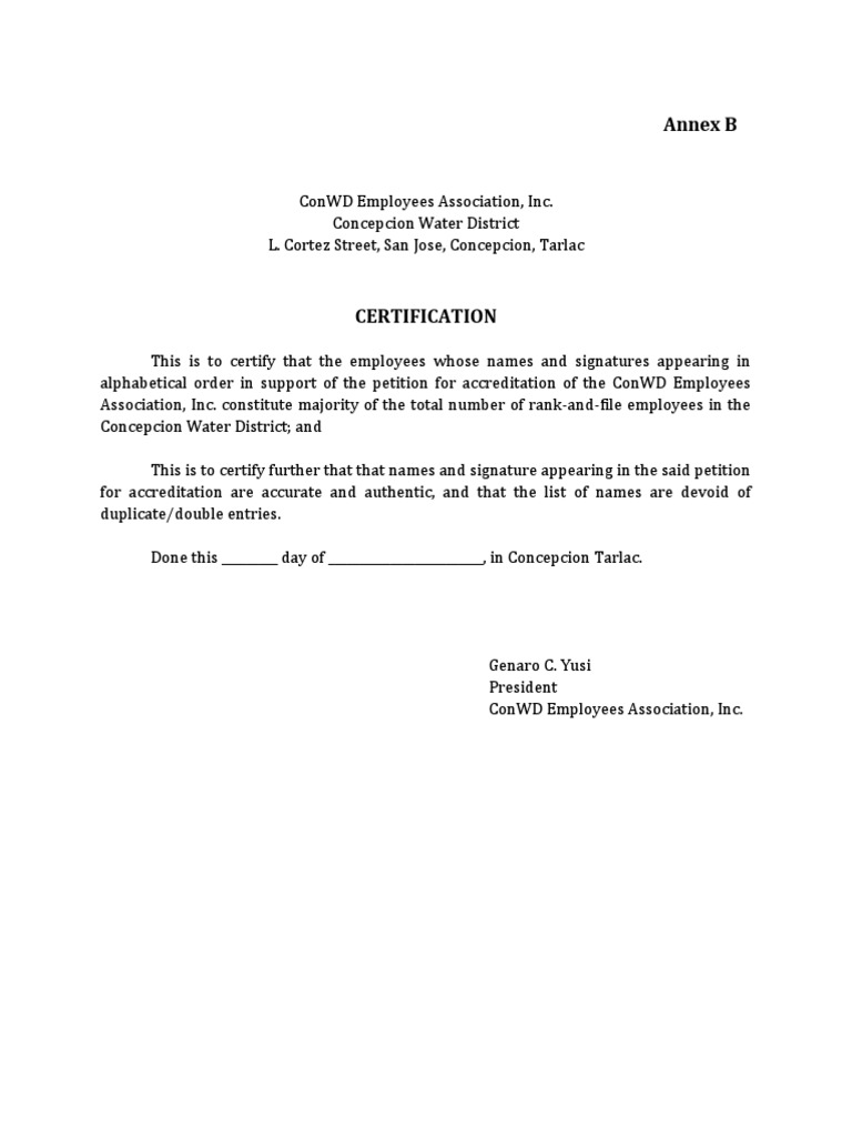 3 Certification No Duplicate Entries Annex B | PDF