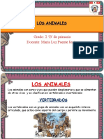 Animales Vertebrados e Invertebrados - Noviembre