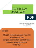 KULTUR BIJI ANG-WPS Office