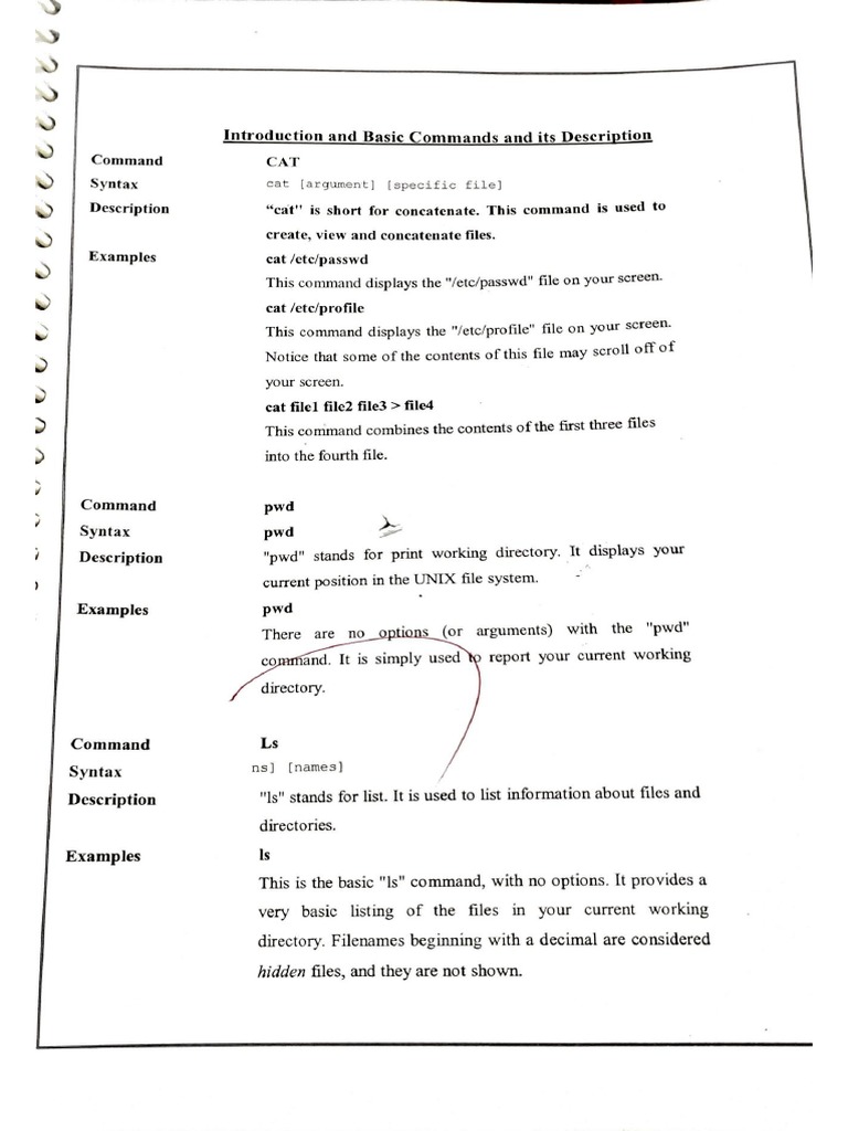 Linux Commands | PDF image.