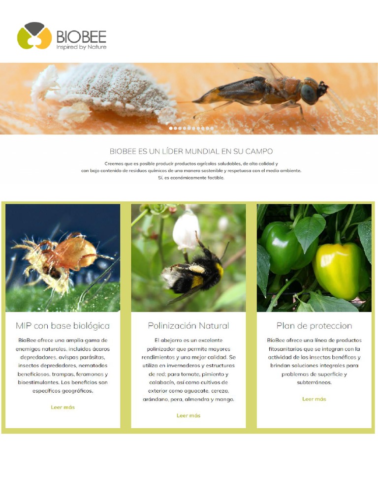 Biobee | PDF