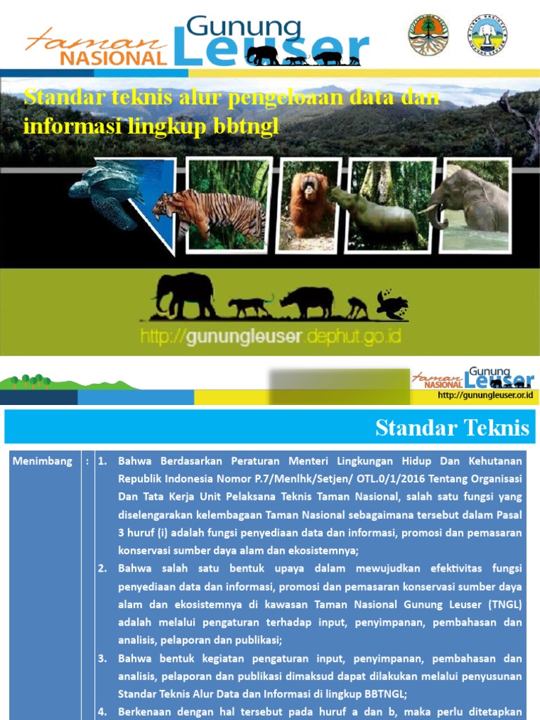 Standar Pengelolaan Data TN Gunung Leuser | PDF | Komputer