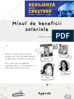 Atelier RBL Mix-ul de beneficii salariale