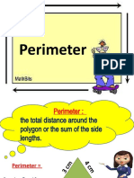 Perimeter