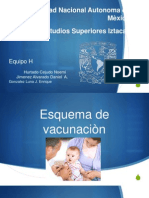 esquema vacunacion