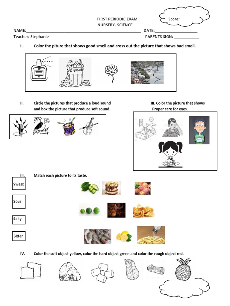 Winter - Early Finishers 1st Grade - Science - The Four Seasons ... -  Worksheets Library, image size:768x1024
