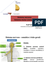 1-Sistema Nervoso - Fisiot Neurológica