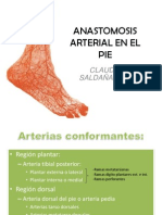 53296635 Anastomosis Arterial en El Pie Ppt