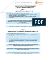 Placement and Adoption_final