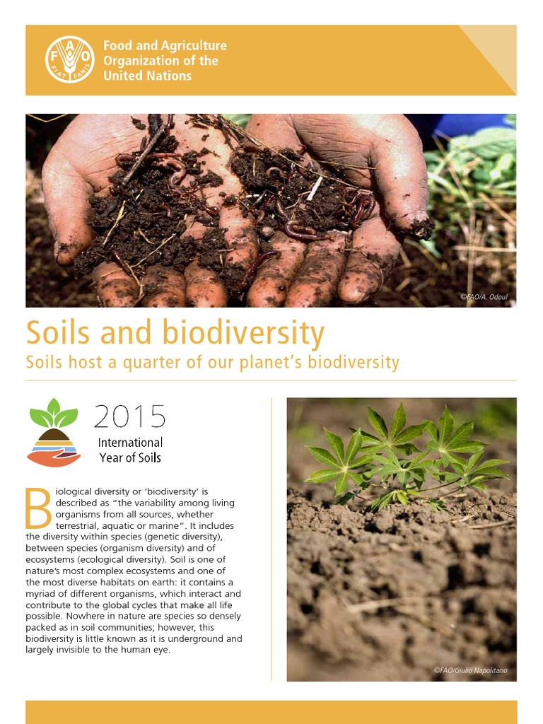Soil Biodiversity and Ecosystem Services | PDF | Home & Garden