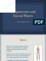 Acupuncture & Fascia