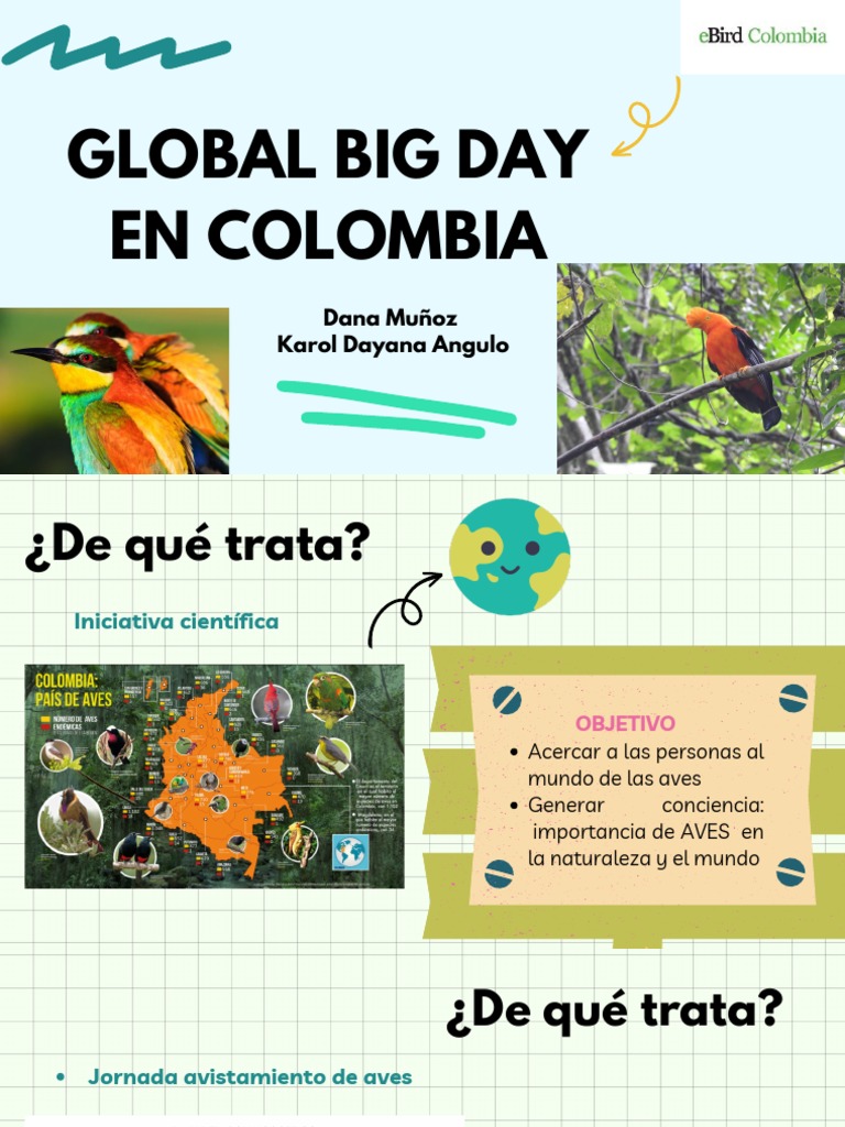 Global Big Day PDF