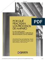 2020 César Puntriano- Luciano López- Por Que Fracasan Los Proceso de Amparo