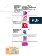 Bodies) - Measles Virus: CPE Description/Examples Exhibited by