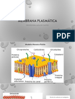 Membrana Plasmática