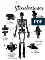 Tipos de Articulaciones