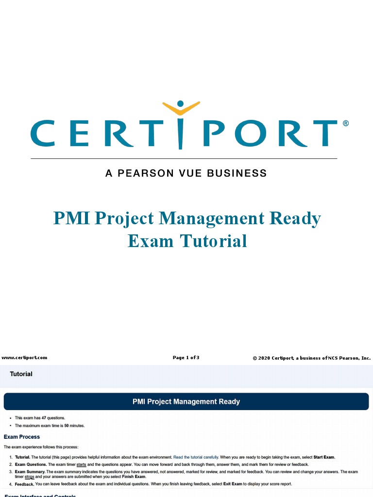 PMI Tutorial | PDF