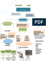 Loor Gema-Organizador Grafico Investigacion