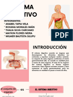 Sistema Digestivo