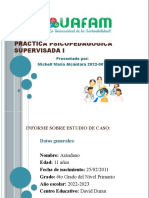 Practica Psicopedagógica Supervisada I