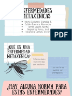 Enfermedades Metaxenicas