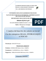 Mémoire - L'Analyse Du Bien-Être Des Salaries Au Travail - Cas D'entreprises