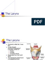 Larynx